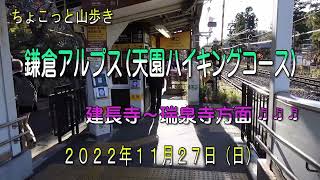 ちょこっと山歩き　鎌倉アルプス（天園ハイキングコース）建長寺～瑞泉寺方面 ♬ ♬ ♬　2022年11月27日（日）