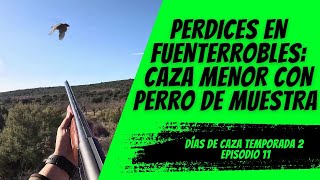 PERDICES EN FUENTERROBLES CAZA MENOR CON PERRO DE MUESTRA