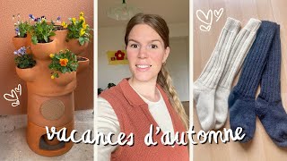 Installation du potager composteur 🪴 \u0026 nouveaux achats en laine l vlog