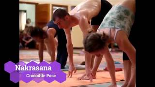 Nakrasana - Crocodile Pose