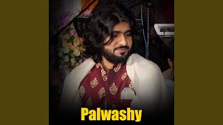 Palwashy
