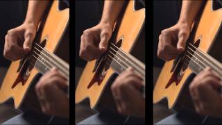 ELIXIR Strings Technology