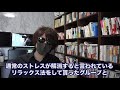 【暴露】給料も良い、待遇も良い会社を辞めた３つの理由。億り人を目指すために専業トレーダーになった訳とは