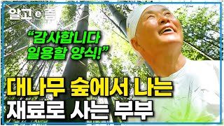 담양 대나무와 차나무 숲을 가꾸는 부부의 밥상에는 특별한 재료로 만든 요리가 올라가는데!｜한국기행｜알고e즘