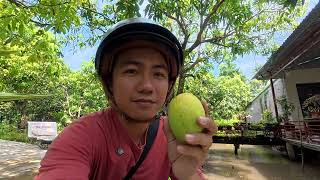 HÔM NAY CHA ÚT TRANG LIỀU XÀI HẾT TIỀN ĐÔ LÌ XÌ CỦA BÁC 9 CÙNG ANH QUAY PHIM MUA MÁY CẮT CỎ