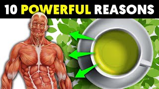 10 POWERFUL Reasons Why You Need To Have More Green Tea
