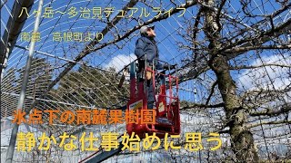 氷点下の南麓果樹園　静かな仕事始めに思う   （４１）