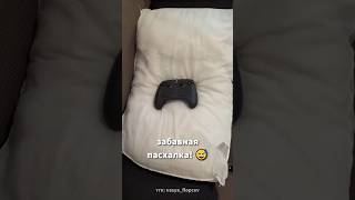 😅 A Steam Controller Easter egg?