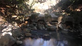 霧島 太良湯 野湯