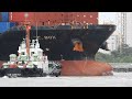 Speedy Tugboat Picks Up Container Ships At Port  | 4K Shipspotting