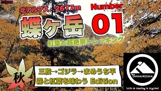 蝶ヶ岳 Number01［三股→ゴジラの木→まめうち平／紅葉と超絶景トレッキング］↗️秋の北アルプスを堪能する登山 YT-044