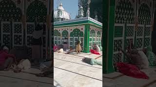 Sabir Pak Dargah Kaliyar Sharif