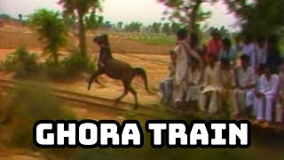 Ghora Train | Horse Train | Anokhi Sawari | Documentary | Gangapur | Lyallpur | Pakistan