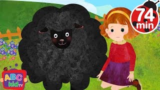 Baa Baa Black Sheep (2D) | +More Nursery Rhymes & Kids Songs - CoCoMelon