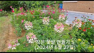 작은 꽃밭 만들기 5(6월 27일)