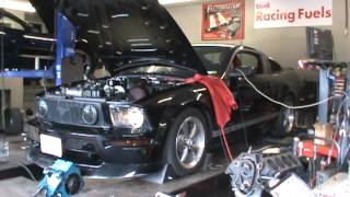 Stroked/Whipple 05 Mustang GT Dyno - 491rwhp 439rwtq