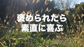 【アファメーション126】褒め言葉を素直に受け取り、自分の力にする