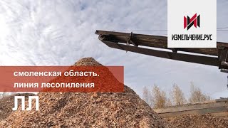 Смоленская область| Линия лесопиления| ЛЛ