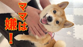 ママ、悲しい…パパに嫉妬してしまうほど愛娘の子犬が・・・