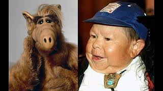 The series  ALF. Who played alpha and what happened to the actors?. ALF Gordon Shamway