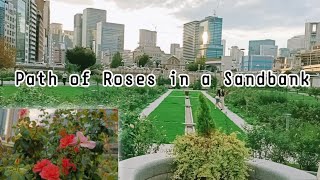 Osaka's Oldest Park, Japan🇯🇵 || Nakanoshima Park (中之島公園) || Kojik Kishora