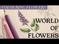 How to colour flowers in WORLD OF FLOWERS | JOHANNA BASFORD | Polychromos | Adult colouring tutorial