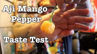 Aji Mango Pepper Taste Test 2021