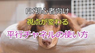 【FX】FX初心者向け！チャートの見方が劇的に変わる平行チャネルの使い方