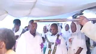 Eritrean traditional music tigrigna wedding