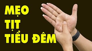 Revealing How 1000 People Stopped Having to Pee at Night and Had a Good Night's Sleep | HYT3