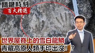 世界屋脊上的雪白龍鱗 12700年前青藏高原人類手印出沒！？【關鍵時刻百大精選】- 劉寶傑 黃創夏