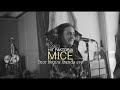 MICE - Inor begira izanda ere