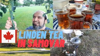 LINDEN TEA IN SAMOVAR( SEMAVERDE IHLAMUR)#foryou #funny #canada #trending #viral #keşfet #doğa#food