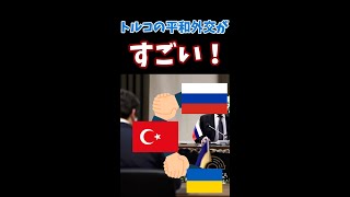 平和の使者？ウクライナとロシアの仲裁にやる気なトルコ　トルコとの関係【ゆっくり解説】