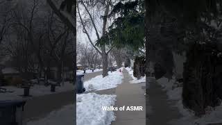 ASMR Walking And Enjoying The View Of Trees 🌲☃️  #asmr #relaxing #canada #relax #walk #walking