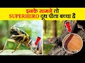 मिलिए Superpowers वाले Real जानवरों से | Wild Animals With Superpower