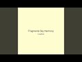 Fragments Sky Harmony