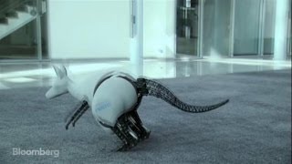 Meet the Jumping, Bionic Kangaroo Robot