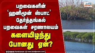 பறவைகளின் 'ஹனிமூன் ஸ்பாட்'  தேர்த்தங்கல் பறவைகள் சரணாலயம்... களையிழந்து போனது ஏன்?