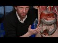 large intestine anatomy