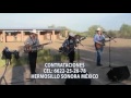 Pepito y su caballo -Juan Miguel Y Su Estilo Campirano