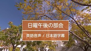 2022年10月日曜午後の部会ー英語音声日本語字幕