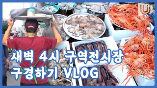 새벽 4시 구역전시장 구경하기 VLOG /새벽시장 / 재래시장 / 또 갈 수 있을까