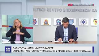 Β. Κικίλιας: Αυτόφωρη σύλληψη δύο ανδρών στο Καπαρέλλι για τη φωτιά – 81 οι πυρκαγιές | 17/7/23| ΕΡΤ