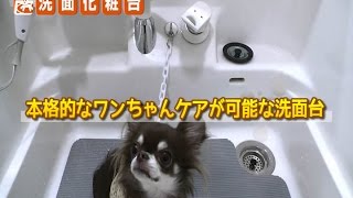 【愛犬家住宅の特徴】8 洗面化粧台HD