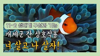 젤리쌤의 생명과학1 36차시 : 11 생태계의 구성과 기능 #2