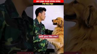 😥 এমন কুকুর পাওয়া সত্যিই ভাগ্যের ব্যাপার 🥺😥 #shorts #viral