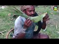 fresh toddy palm🌴 wine drinking in my village toddy tapper collect palm juice more mud pots