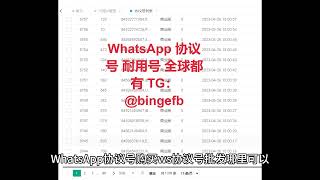 WhatsApp协议号购买 ws协议号批发 哪里可以买到真的协议号 ws账号购买批发 WS 账号哪里买？