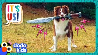 Sword Dog And Stick Dog Will Conquer The World! | Dodo Kids | It's Me!